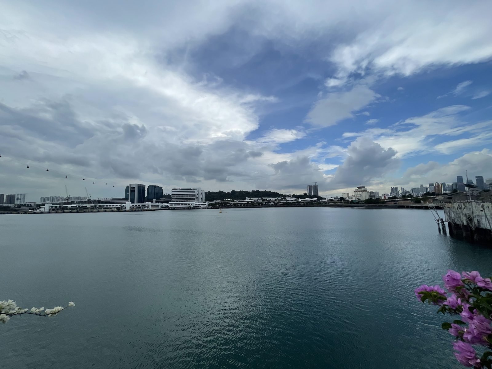 Candid waterfront moment with city skyline in the distance